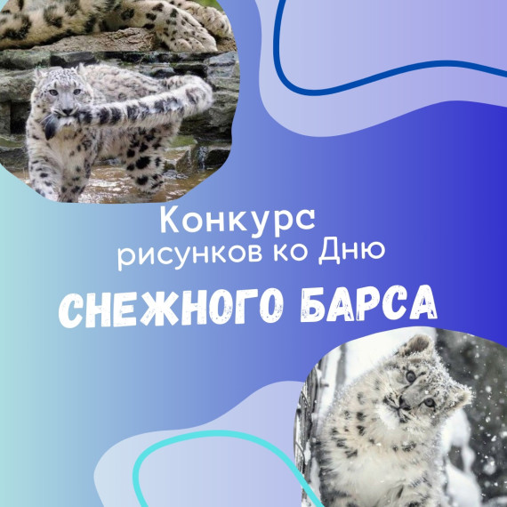 В честь "Дня снежного барса".